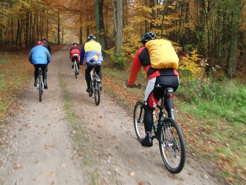 Wilseder Berg 1 2010 078